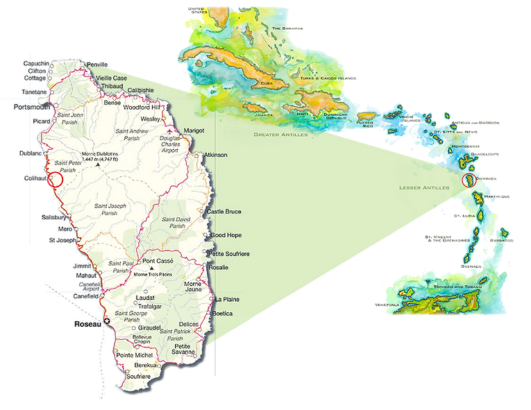Dominica Location.png