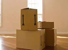 move manager