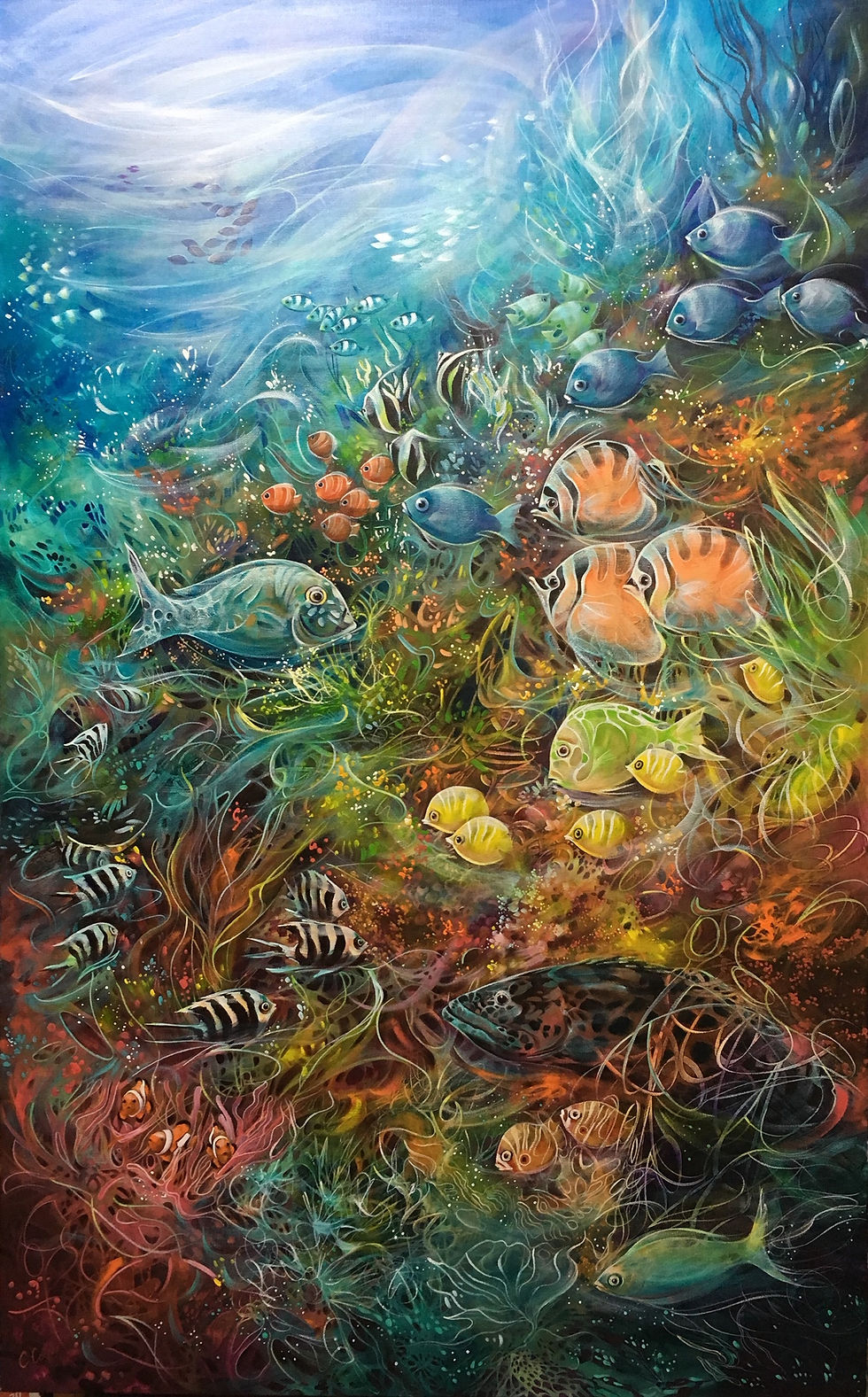Ocean Treasures