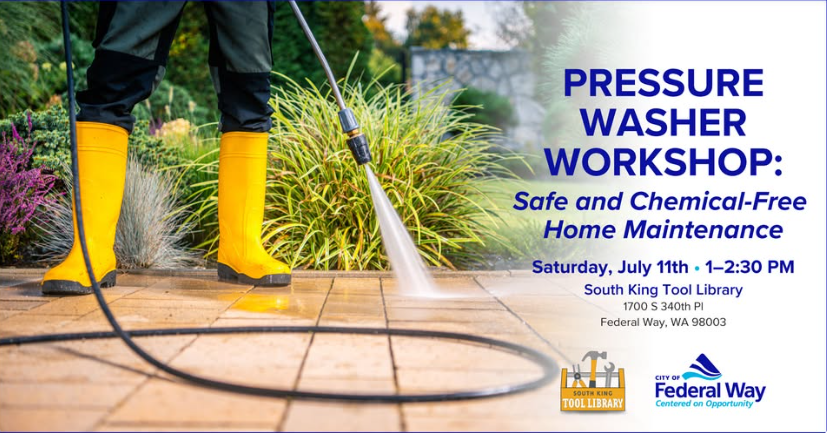 Pressure Washer Workshop