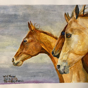 Wild Horses