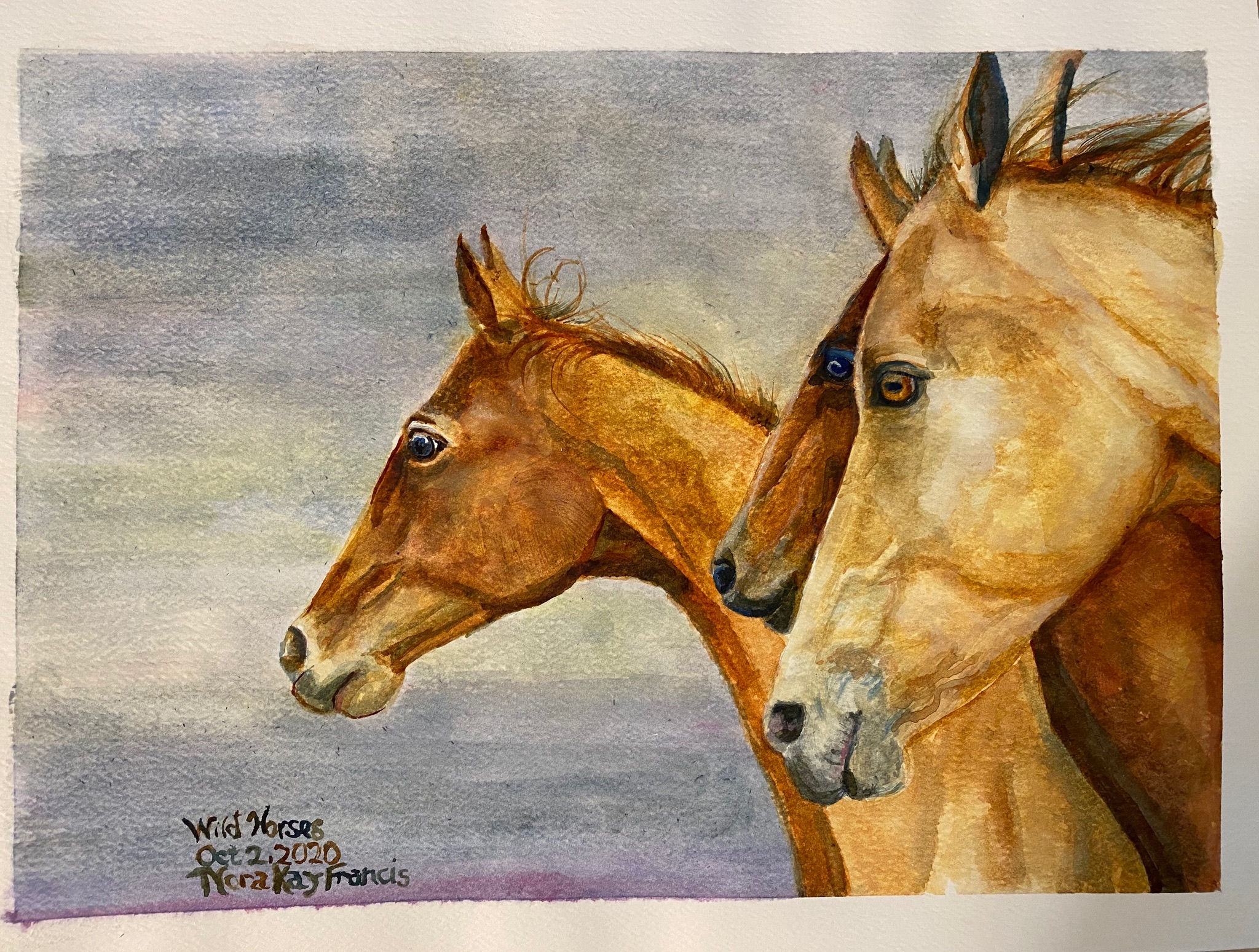 "Wild Horses" with a mat