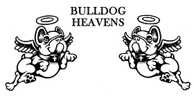 BULLDOG HEAVENS SHOP | hellbull
