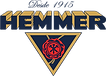 Logotipo_da_Hemmer_Alimentos.svg.png