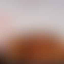 Walk the Talk: Observations From our New Office at 800 Great Highway 