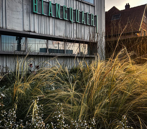 Afbeelding van WhatsApp op 2025-01-11 om 14.12.56_5a96dfb7.jpg