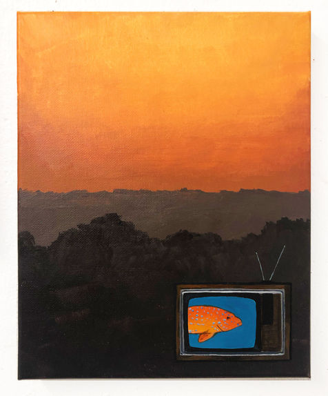 fish tv