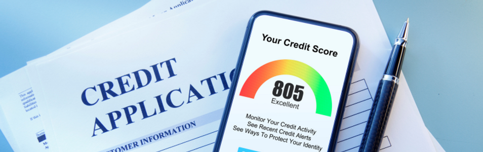 Credit Score Email Banner.png