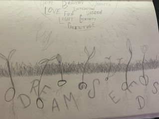 Our Dreamseeds