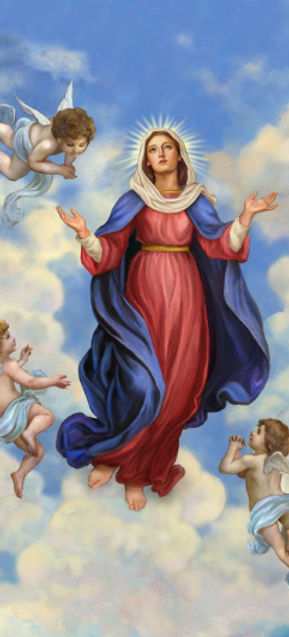assumption snip.png