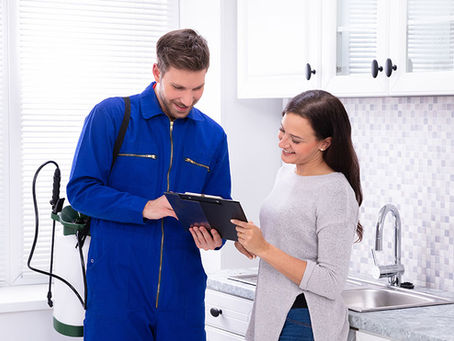 Pest Control Sydney Reviews — Why Locals Trust Fresh All Seasons