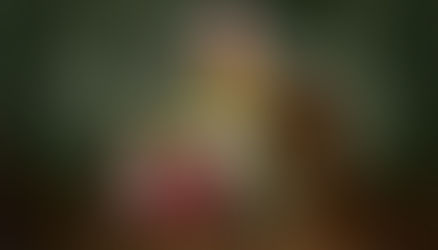 A solução é alugar o Brasil?