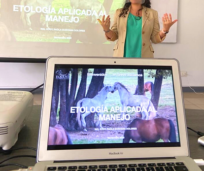 aviso de tranporte de caballos-3.png