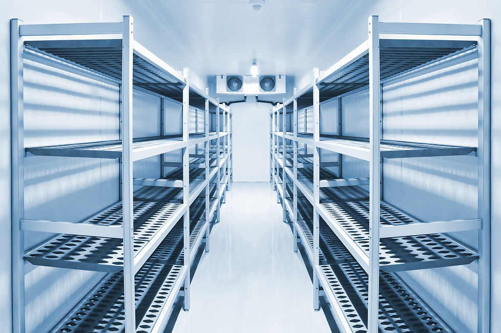 Refrigeration chamber for food storage..