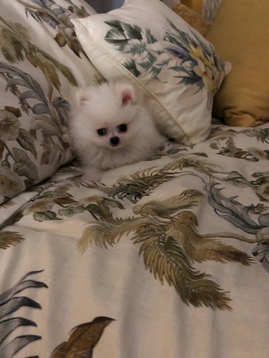 Mini's pic update by Mama Lori