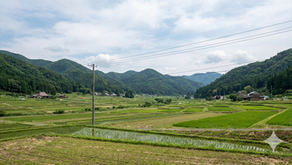 正直、山の方は厳しい？楽天社員が語る「茨城の過疎地・農地」での電波事情