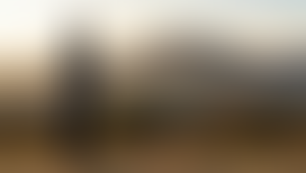 Se você tem medo de ficar sem sinal, simplesmente varie. Uma opção inteligente é usar o Rakuten Mobile como um segundo cartão.