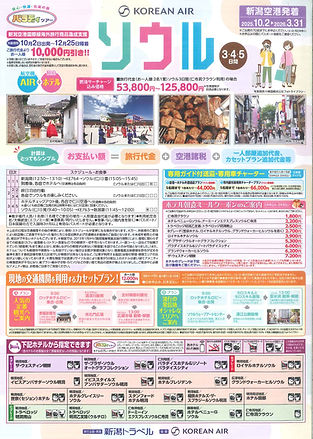 新潟トラベル ソウル10-3.jpg