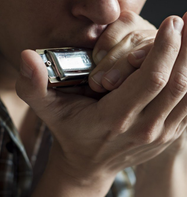 Gaita harmônica profissional em Manaus