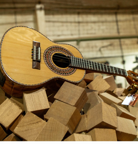Cavaquinho profissional para samba e pagode em Manaus