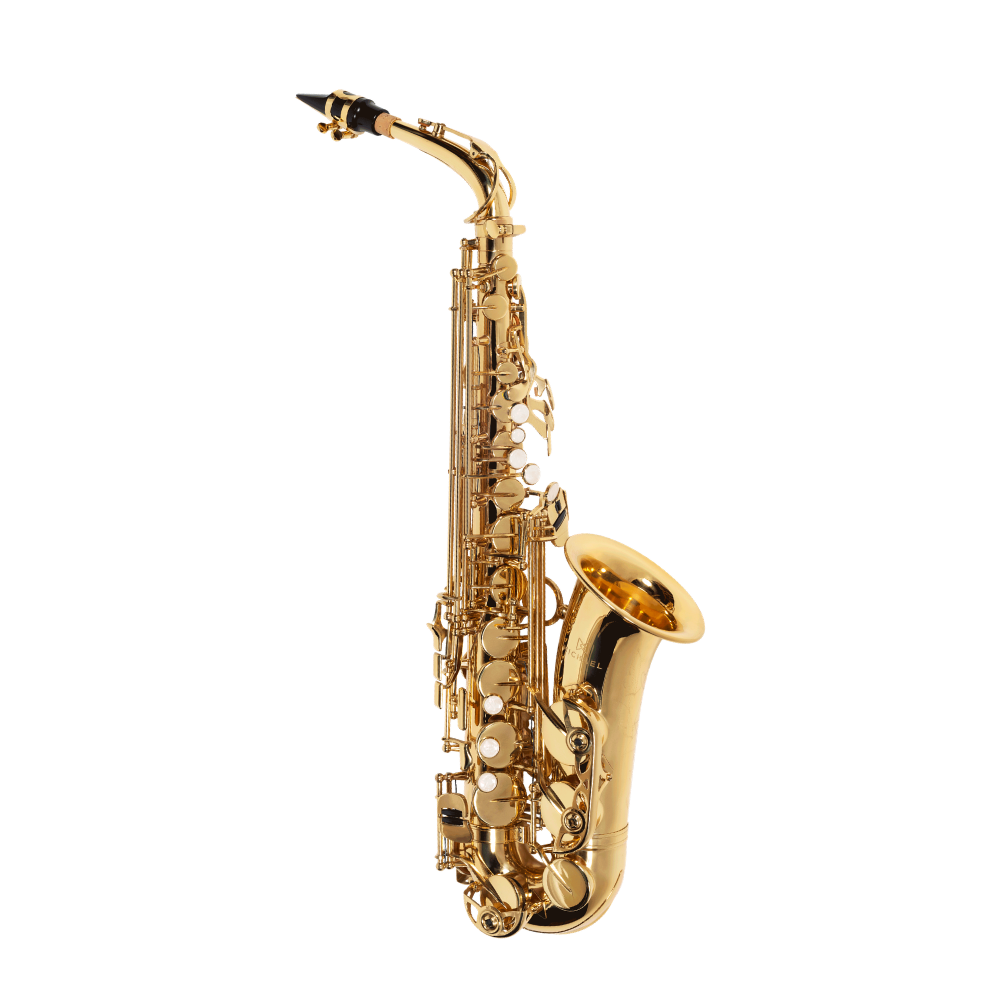 Saxofone Michael Alto Dourado WASM30N