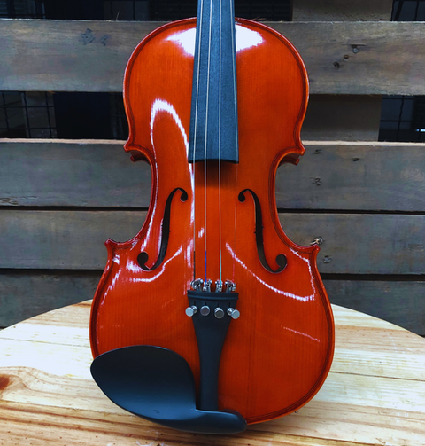 Violino acústico profissional para estudo em Manaus
