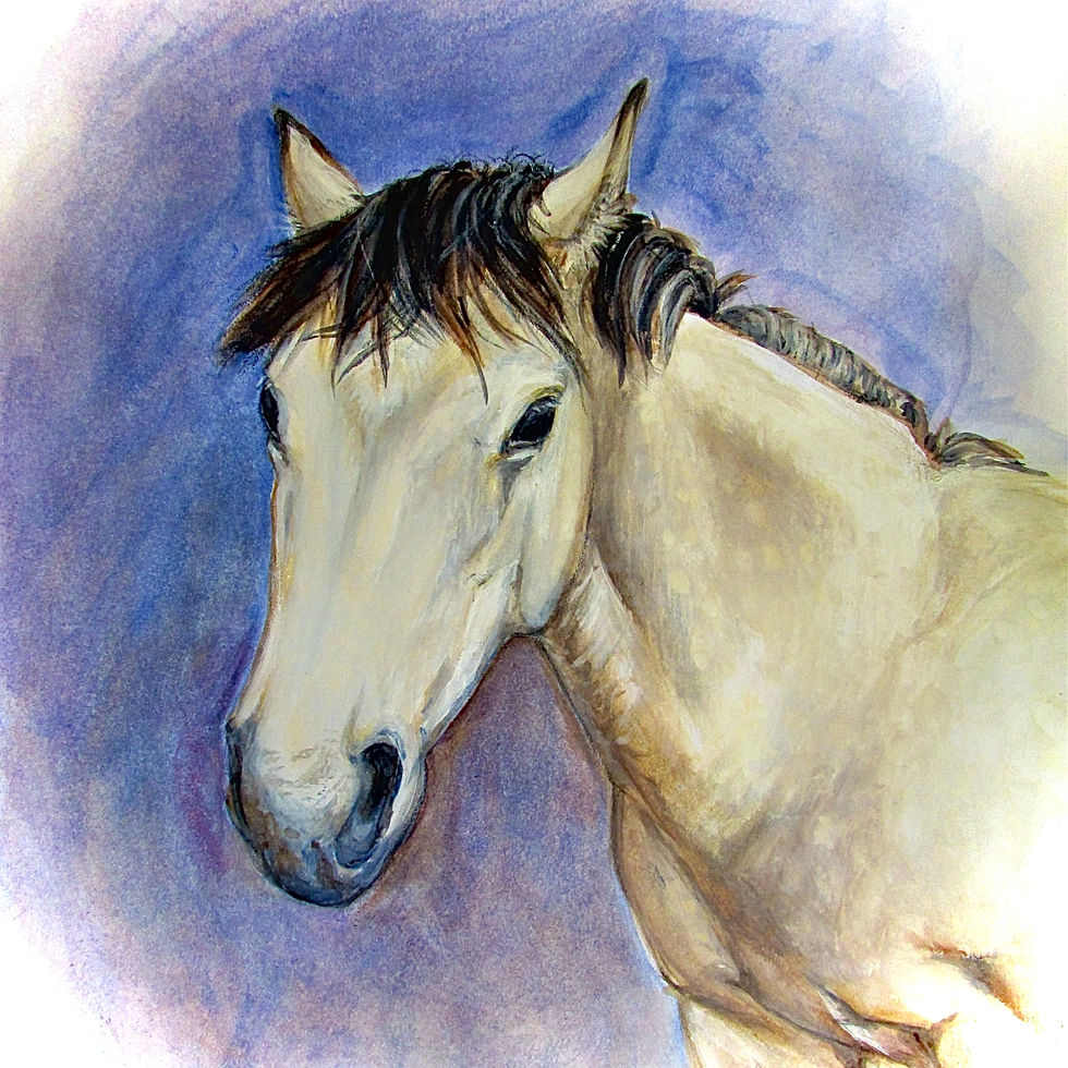 cream horse