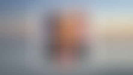 Trump se pone en todos los sellos postales, lo que obliga a demócratas a presionar abolición de USPS