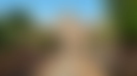 Corrupción flagrante: Jesus College en Cambridge tomó 155,000 £ de Huawei para financiar periódico.