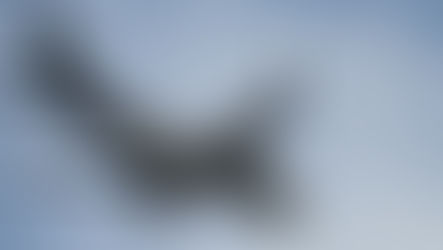 Aerolíneas: se empiezan a ver señales de despegue.