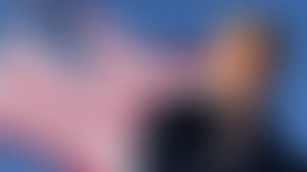 'Nunca apuestes contra mí' - Donald Trump describe el camino hacia la victoria en 2020.