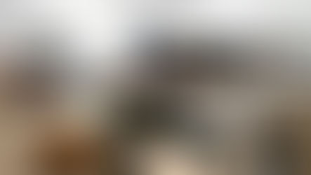 Reducción de tropas de Trump obtienen el apoyo de republicanos y demócratas. Halcones critican.