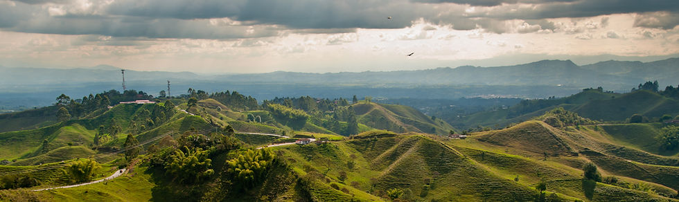 AdobeStock_40262554.jpeg
