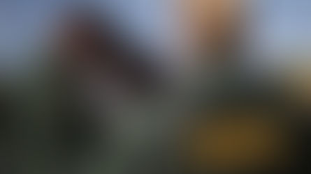 Niña abusadora acusada de tráfico de personas durante una parada de tráfico en California.