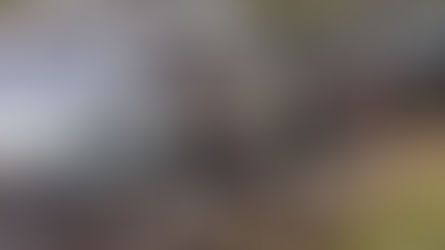 Autoridades mexicanas investigan alianza entre cárteles para controlar el territorio cerca de Texas.