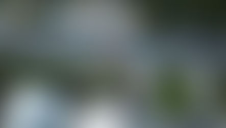 "La vida del bebé importa" pintada fuera de la planificación familiar.