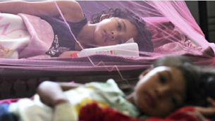 Mientras el mundo mira al coronavirus, América Latina vive la peor epidemia de dengue de su historia