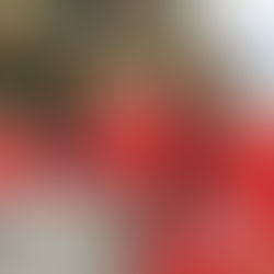 Nolte: Prepárese para que los demócratas cancelen la Navidad.