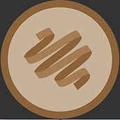 p logo custom club guitars.jpg