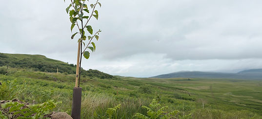 Ecologi_SiteVisit_Imagery_FFC_BrisbaneMains_1200x800_06.jpg