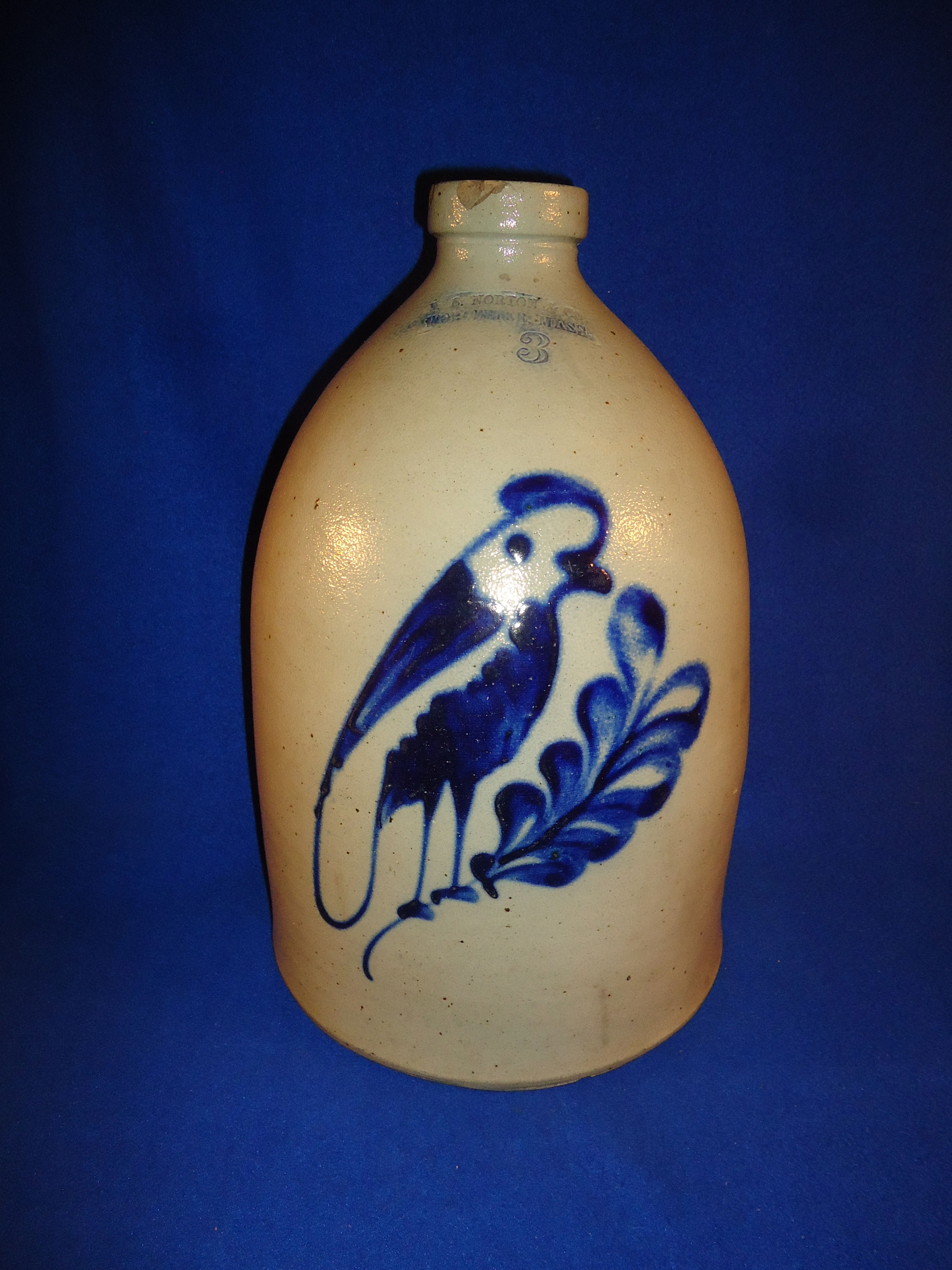 F. B. Norton, Worcester, Massachusetts 3g Jug with Parrot on a Plume #11154