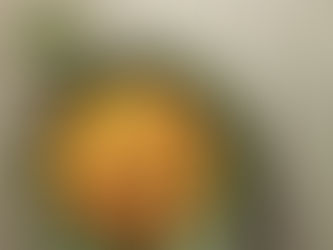 Tips & Tricks for Preparing These 8 Plant-Based Proteins