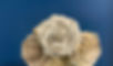 IMG-0869_edited.jpg