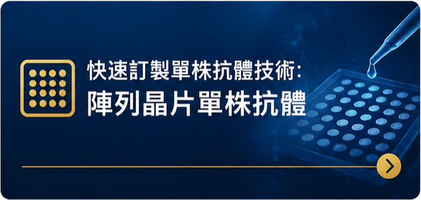 陣列晶片鈕.png
