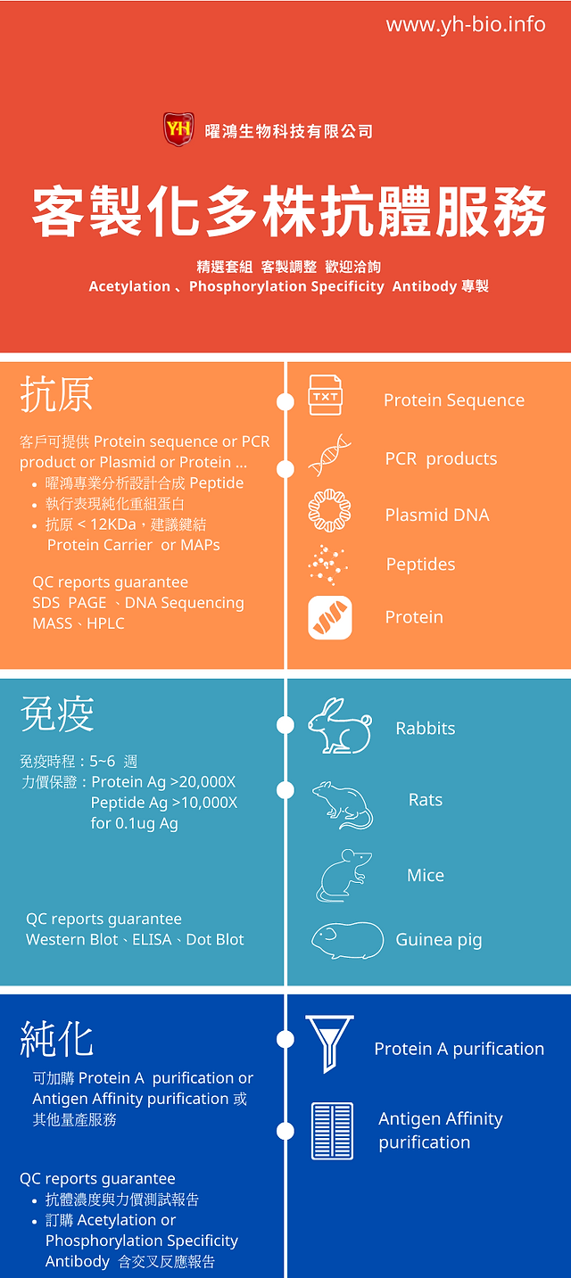 客製化多株抗體服務 (1).png