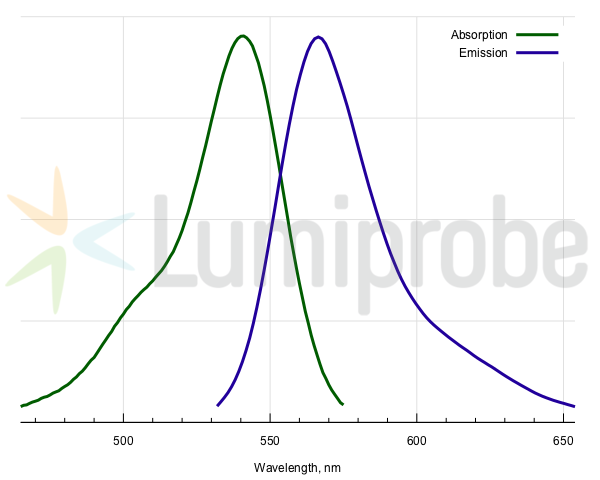 縮圖：TAMRA alkyne, 5-isomer