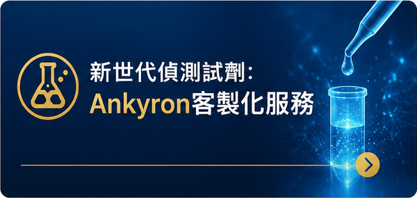 ankyron鈕.png