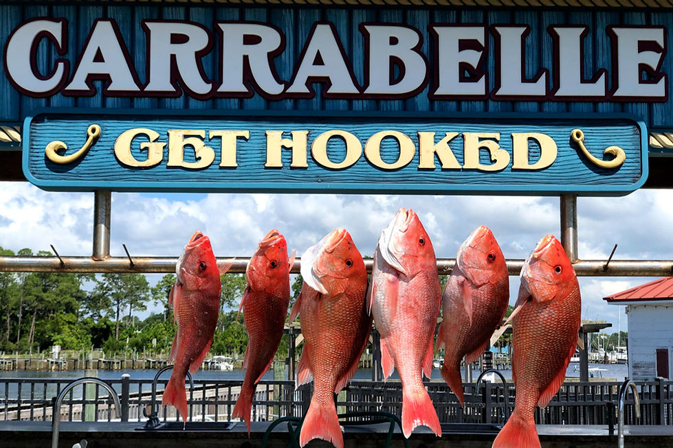 Anchors Aweigh Fishing Charter Carrabelle SGI Florida