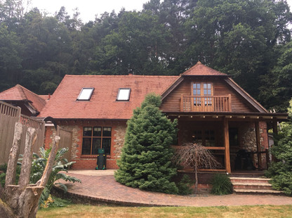 After - Roof Cleaning