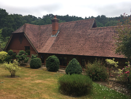 Before - Roof Cleaning